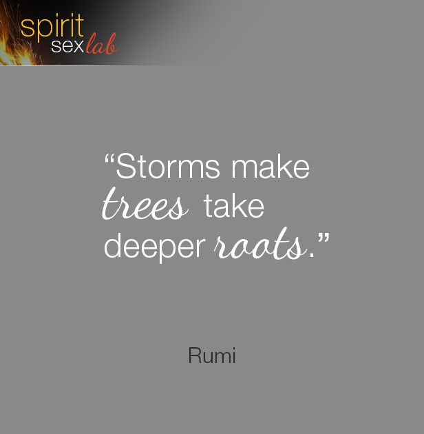 storms make trees take deeper rootes