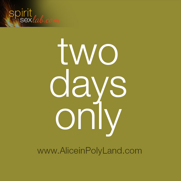 Alice In Polyland two days left